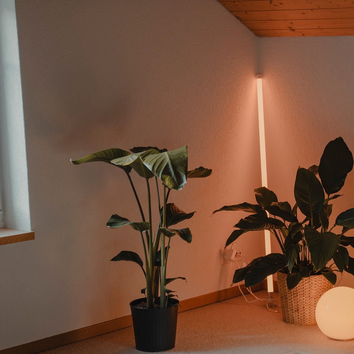 Neon Tube RGB Floor Lamp with Color Changing Light