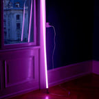 Neon Tube RGB Floor Lamp with Color Changing Light