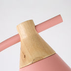 Nordic Macaron Floor Lamp with Cone Metal Shade and Wood Accent for Reading