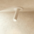 Adjustable Cylinder Spotlight Ceiling Light for Surface Mount