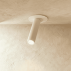 Adjustable Cylinder Spotlight Ceiling Light for Surface Mount