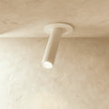 Minimalist Aluminium Ceiling Light LED Light With Cylindrical Shade