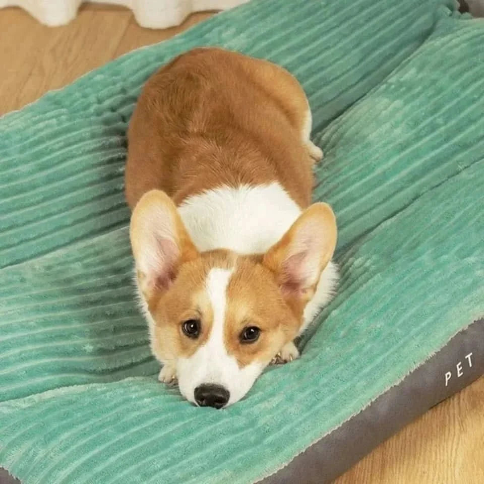 Orthopedic Dog Bed Soft Plush Corduroy Dog Mattress with Supportive Foam Core Washable Pet Bed for Small Medium and Large Dogs