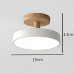 Scandinavian Wood Base LED Ceiling Light with Pastel Metal Shade for Hallway