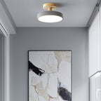 Scandinavian Wood Base LED Ceiling Light with Pastel Metal Shade for Hallway
