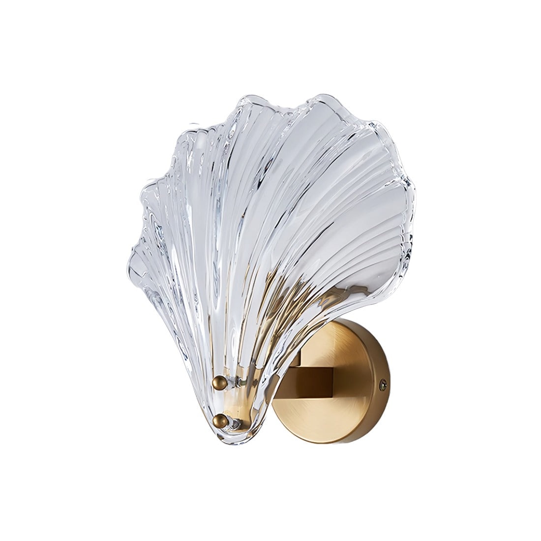Seashell Wall Sconce with Clear Ribbed Shell Shade and Brass Finish Arm