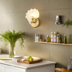 Seashell Wall Sconce with Clear Ribbed Shell Shade and Brass Finish Arm