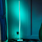49 Inch LED Twisted Floor Lamp