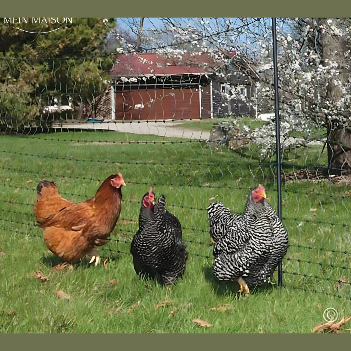 UV Resistant Garden Bird Netting for Fruit Trees Vegetables and Chicken Runs