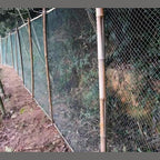 UV Resistant Garden Bird Netting for Fruit Trees Vegetables and Chicken Runs